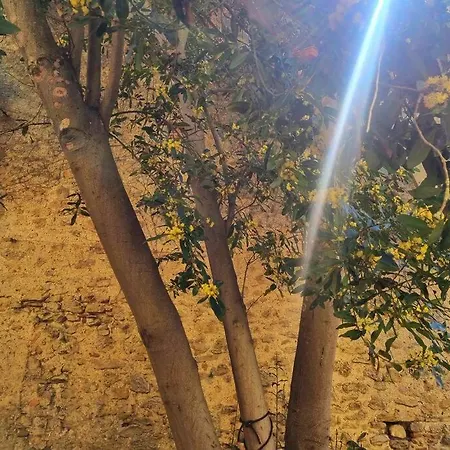 Romantique St Michel De Lanes 펜션 Saint-Michel-de-Lanès