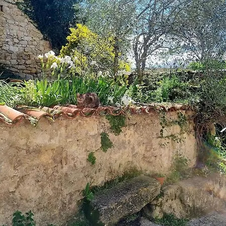 Holiday home Romantique St Michel De Lanes Saint-Michel-de-Lanes
