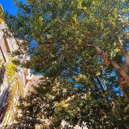 Romantique St Michel De Lanes *