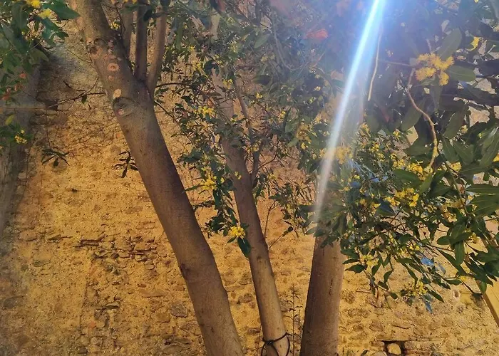 Romantique St Michel De Lanes Σπίτι διακοπών Saint-Michel-de-Lanès