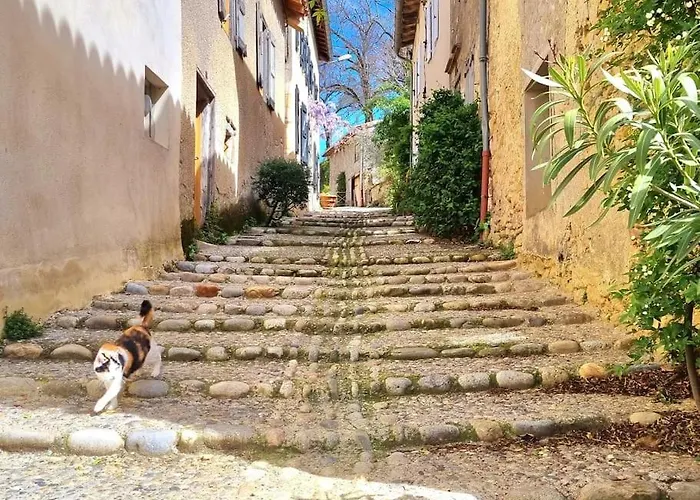 Romantique St Michel De Lanes Σπίτι διακοπών Saint-Michel-de-Lanès