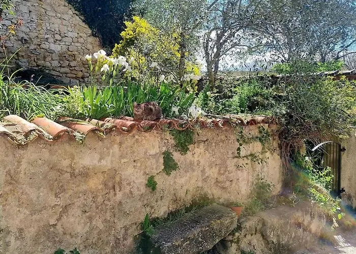 Σπίτι διακοπών Romantique St Michel De Lanes Saint-Michel-de-Lanès