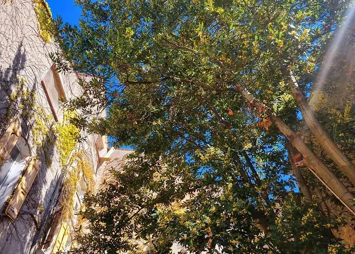 Romantique St Michel De Lanes *